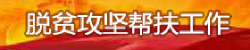 脱贫攻坚帮扶工作