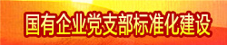 国有企业党支部标准化建设